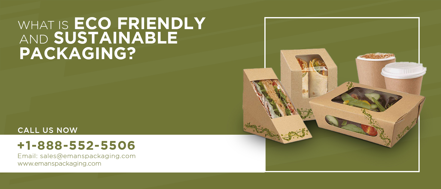 Eco Friendly and Sustainable Packaging Best Packaging Company USA